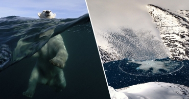 Más de 12 mil millones de toneladas de hielo se derriten en Groenlandia en solo un día
