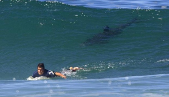 16 Motivos para amar a Australia ... desde lejos !